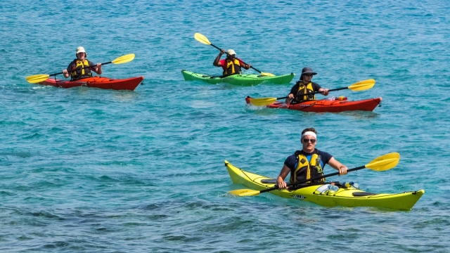  canoa kayak 