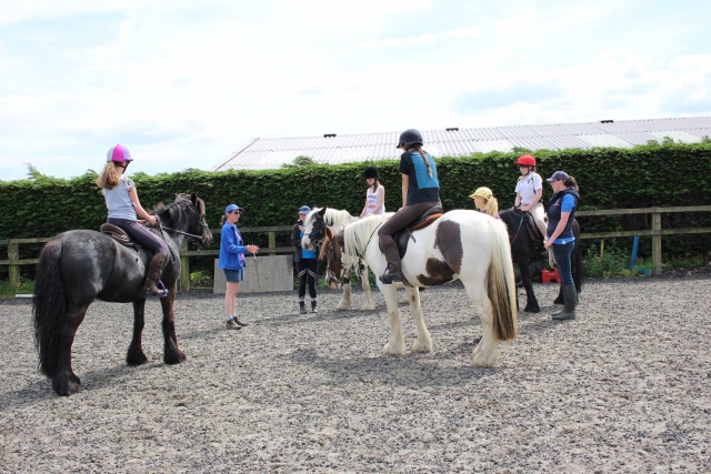 ponies and learning