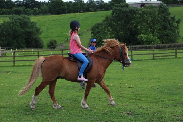 riding a pony
