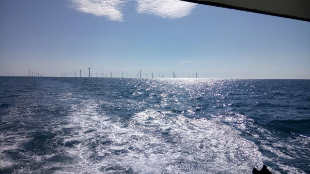  大海的美景 