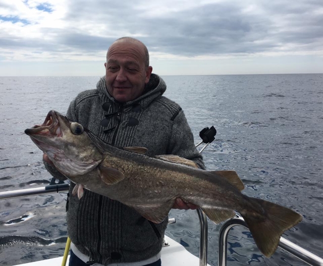 riesiger Fisch 