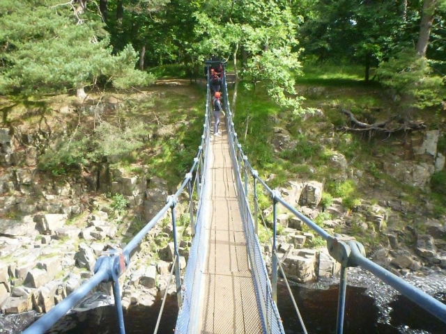 amazing bridge
