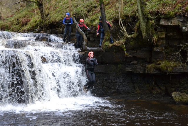 tree jump gorge walk