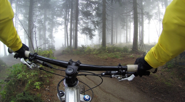  in bicicletta nel bosco