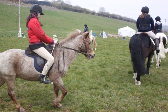 Passeios a cavalo 
