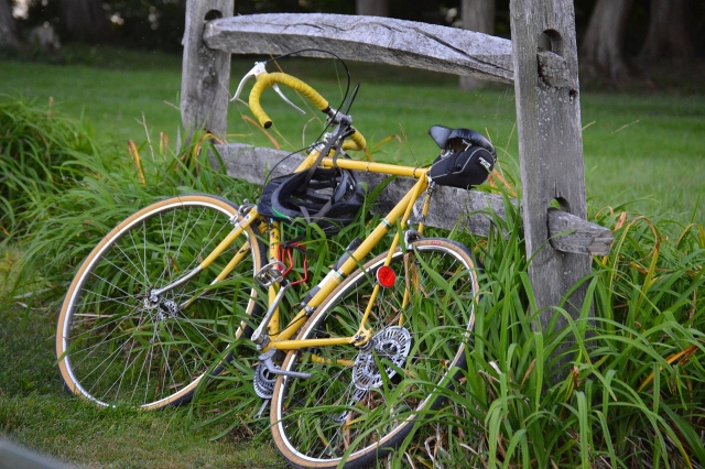  Cycling Fun 