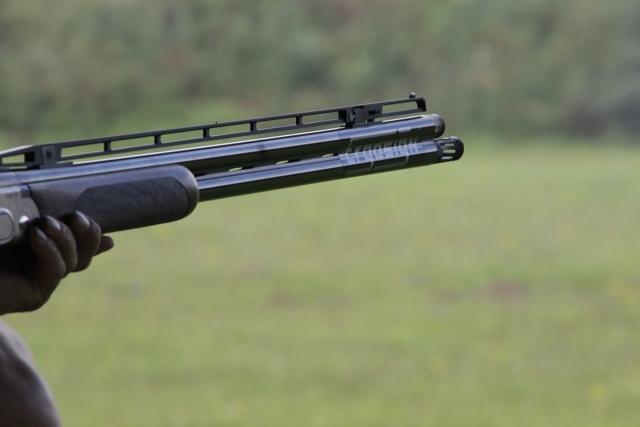 e-19742806-shotgun-1181645-128015023552248884.jpg