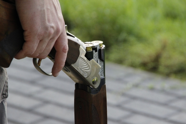 e-19742806-shotgun-1181648-128015023552243806.jpg