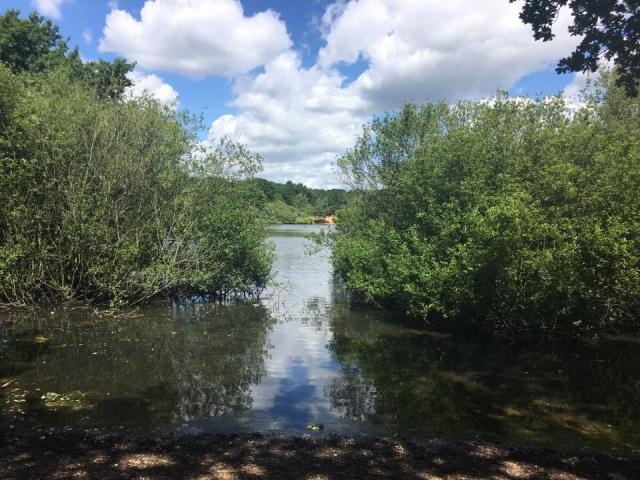  un ambiente fantastico 