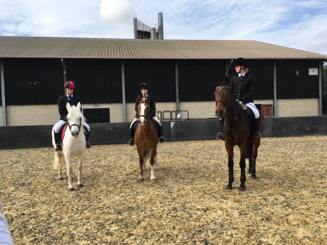 All together horse riding