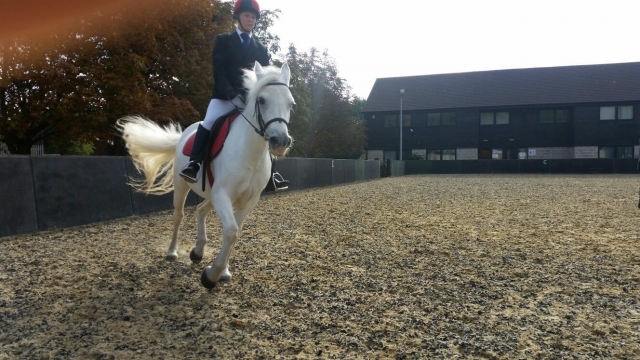 Look what an amazing horse!