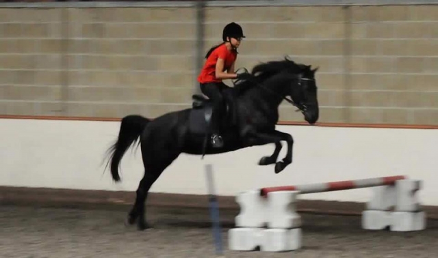 Jumping and horse riding