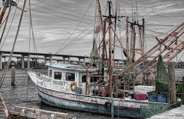  barca da pesca 