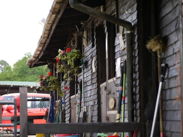Il nostro centro ippico 