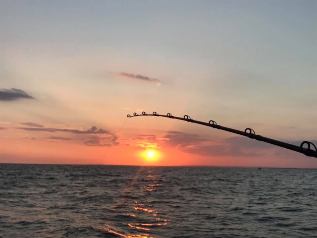 Evening trip