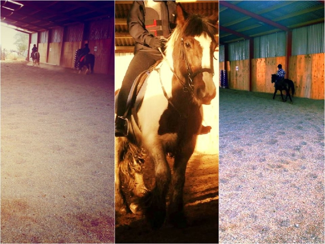  Apprenez à monter avec nous 