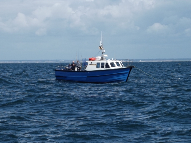 6 hour sea fishing