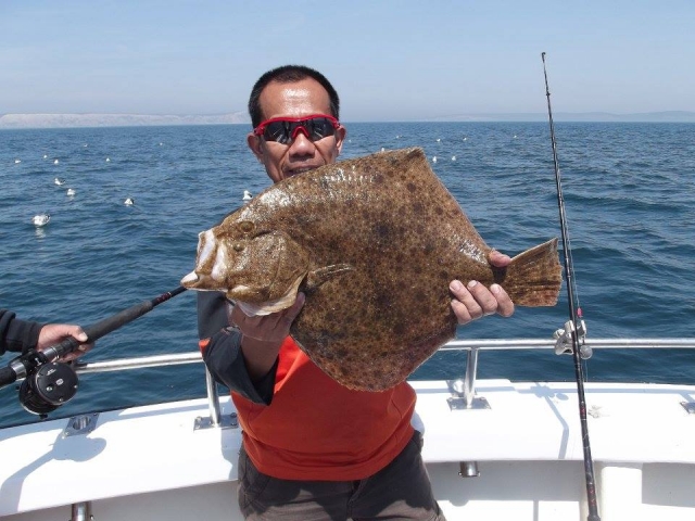 A turbout caught on our trip