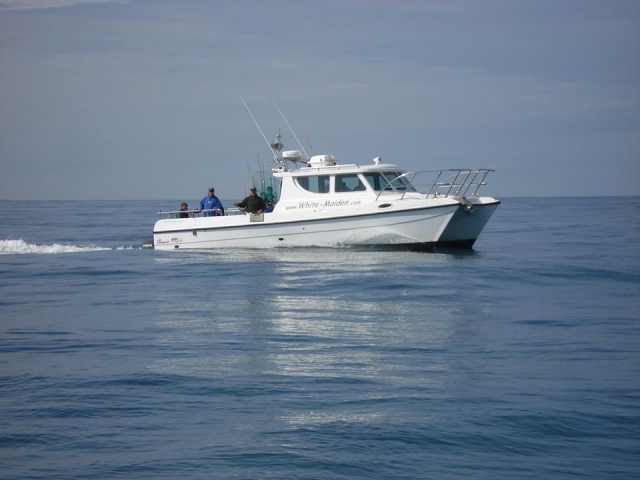 Sea fishing experience