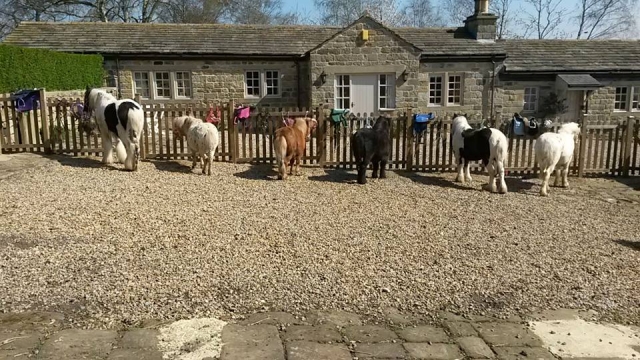 Waiting for our little riders