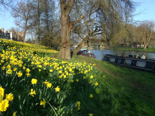 Our surroundings!