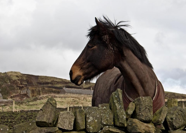 快来认识他们吧！ 