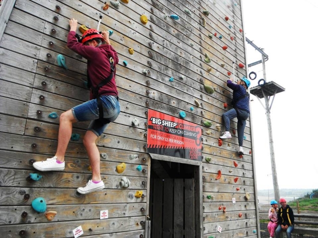 Perfect for everyone! 