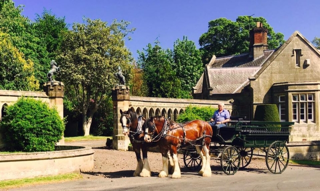 我们的马车开动了!