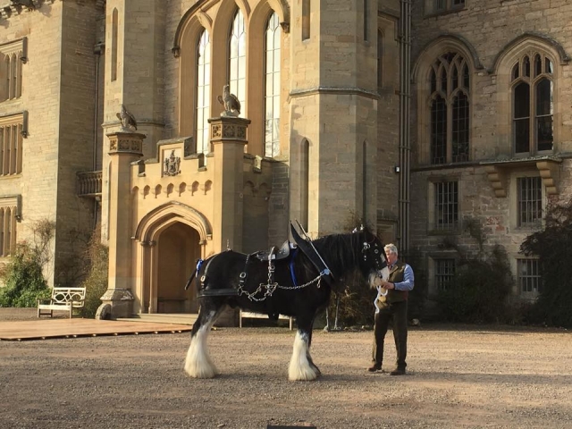 和我们一起去吧!