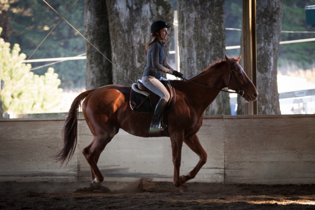  Visita para servicios 