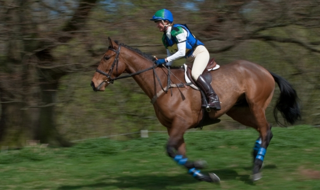  ¡Ven a uno de nuestros espectáculos abiertos!  