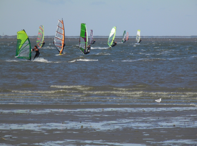 Group Windsurfing! 
