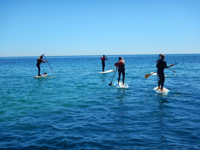 Enjoy the beauty of the surroundings while Paddle Boarding! 