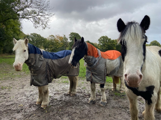  Explorando Hampshire 