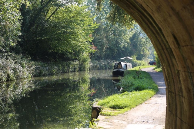  Camina mientras mira los estrechos fallos pasando. 
