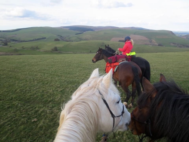 Open Hacking with Your Horse Adventures