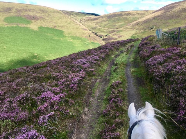 Enjoy the beautiful scenery! 