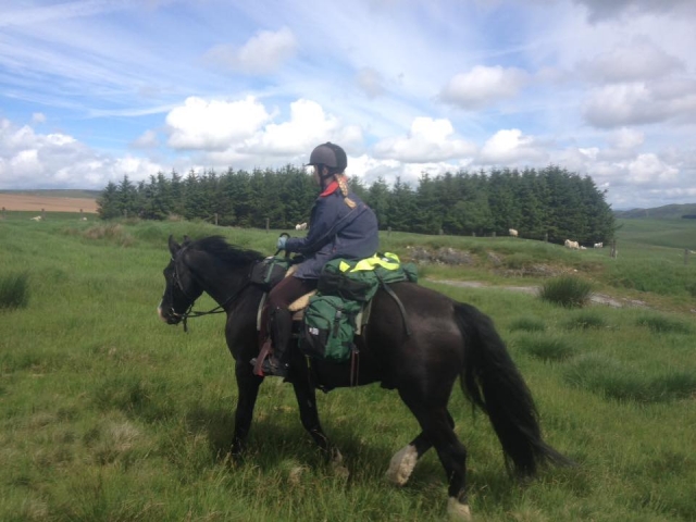 Open Hacking with Your Horse Adventures
