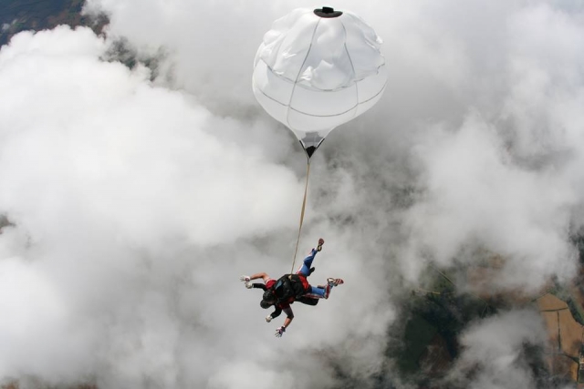  Sentez-vous comme un oiseau ! 