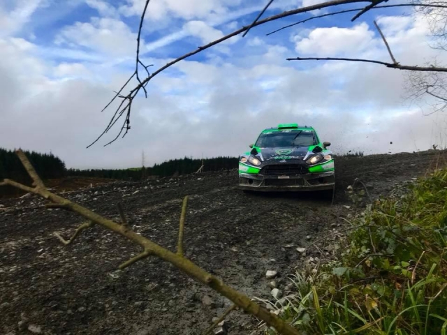 Have a go in the forest!