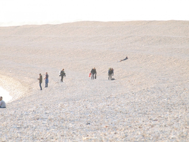  ¡Explore con nosotros! 