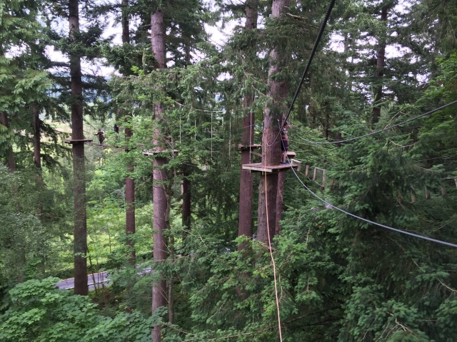Besichtigen Sie den wunderschönen Wald während des Kurses