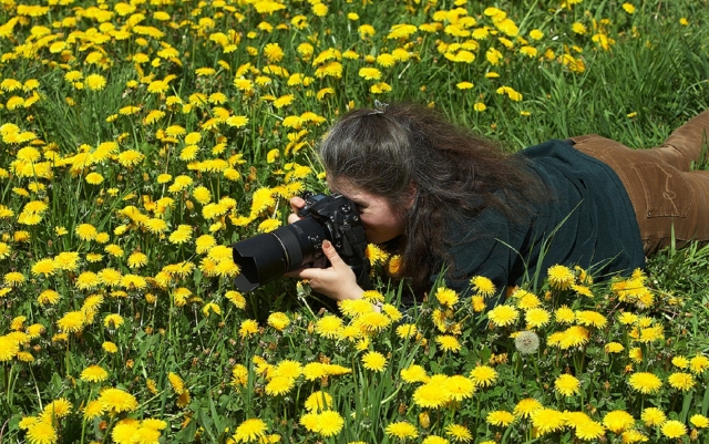 You can even take some photographs!