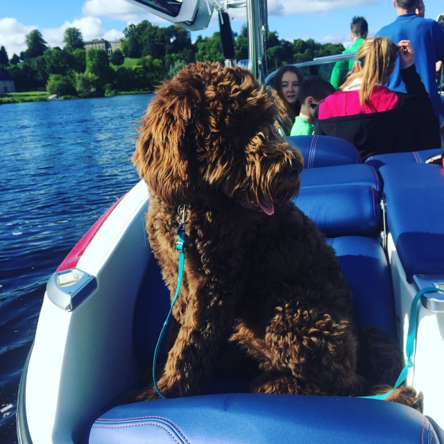 Porta tutti i tuoi cari! 