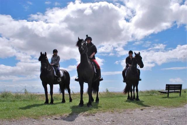  Hacking con entrenamiento en Black Horses Ltd