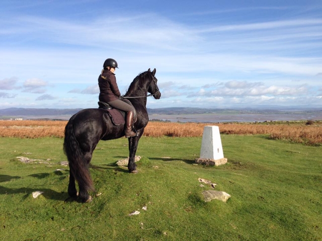  Explore con Black Horses Ltd 