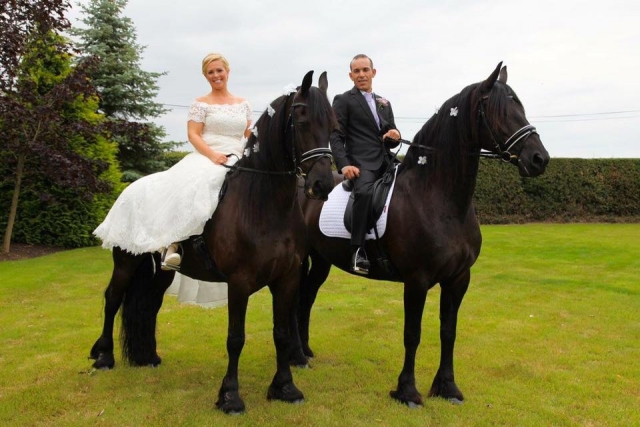  Celebre su boda con entrenamiento con entrenamiento 