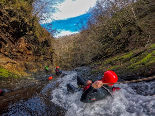  Descendência de Canyon Welsh 