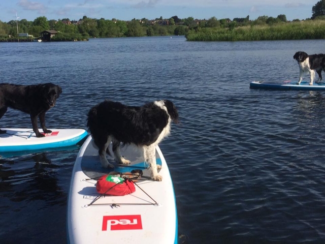  Tout le monde peut faire du Paddleboard 