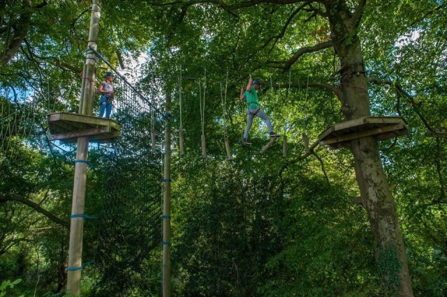 Feel just like a monkey with TreeTops Trail!